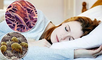 Крепкий сон помогает избавиться от лишнего жира